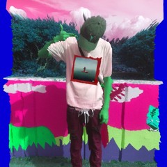 FLY