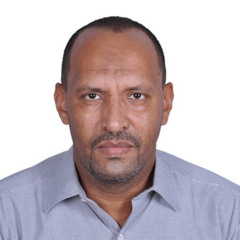 abdelrazig Saeed