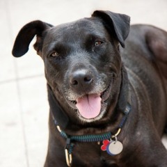 seaandsky radio edit