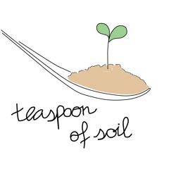 teaspoon of soil