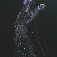 Lyra