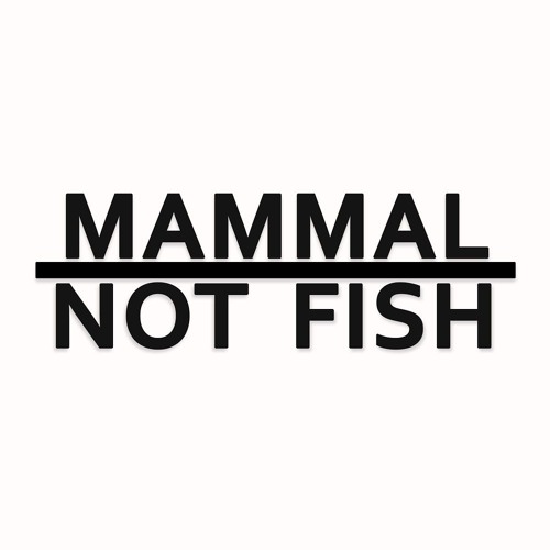 Mammal Not Fish’s avatar
