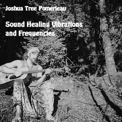 Joshua Tree Pomerleau