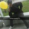 Daygo.isaac