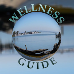 Wellness “chillin' Guide