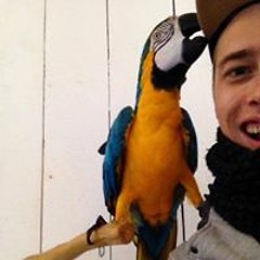 Kev In