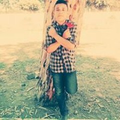 أحمد الشربينى