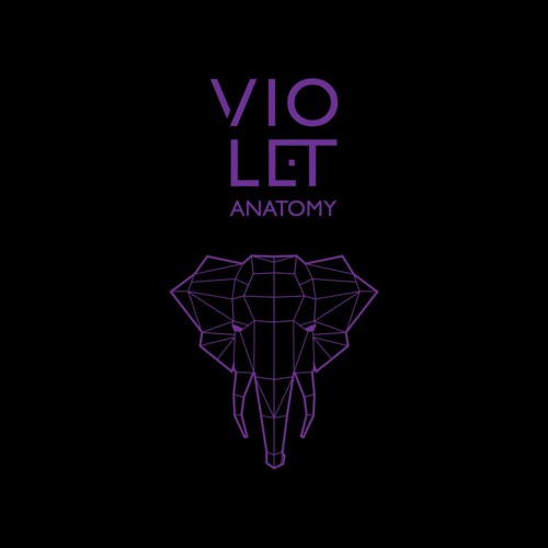 violet anatomy’s avatar