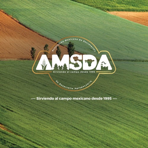 AMSDA A.C.’s avatar