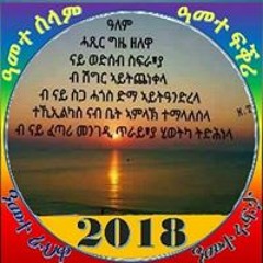 Tesfu Weldemicheal