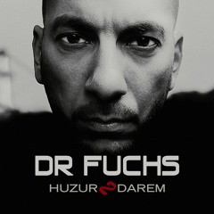 Dr Fuchs