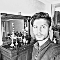 Shayan Tavakoli