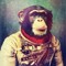 Acid Chimp