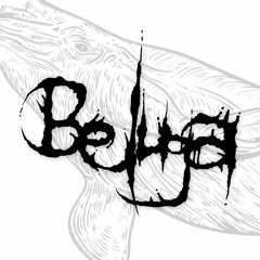 BELUGA
