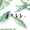 jess