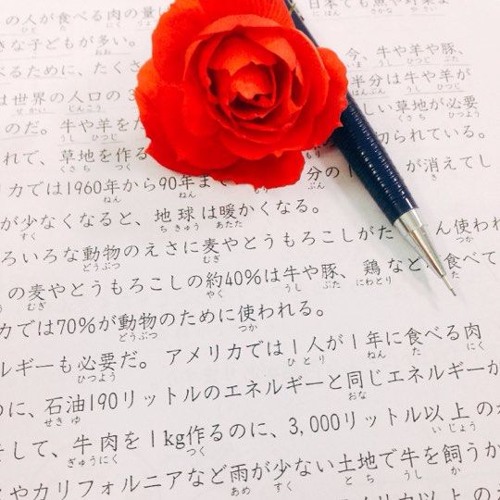 Tát Nhật Lãng Rực Rỡ