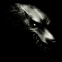 dark wolf