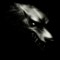 dark wolf