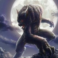 anime party battle wolf