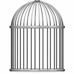 The Bird Cage