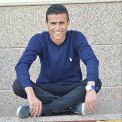 Ahmed Elhamady