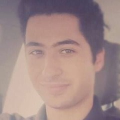 mehdi karray