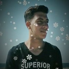 وسيم محمود