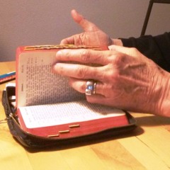 Andrea Giorgio Xandry