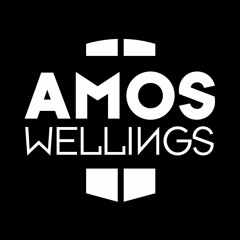 M.I.A. vs. Lorde - Royal Planes (Amos Wellings Bootleg)