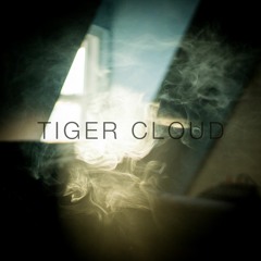Tiger Cloud