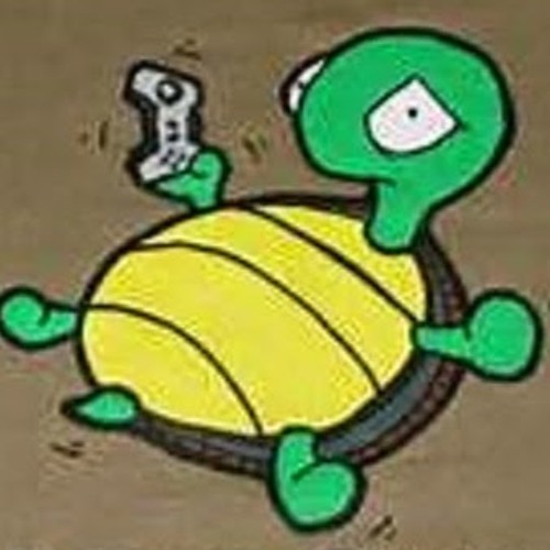 The gaming turtle’s avatar