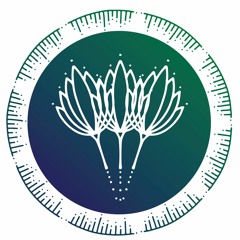 The Grit and Gratitude Podcast