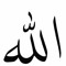 Iqra Shabbir Abdul Wasay