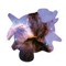 GalacticShellder