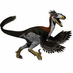 Falcon Raptor