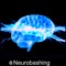 @Neurobashing