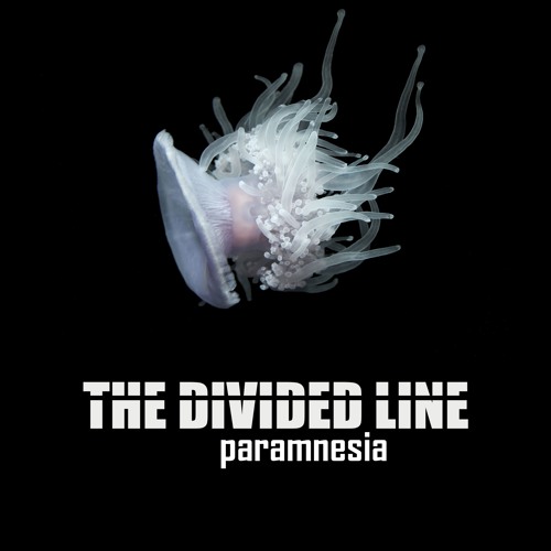 The Divided Line’s avatar