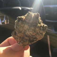 Eugene Park 4723