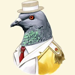 Pigeonator