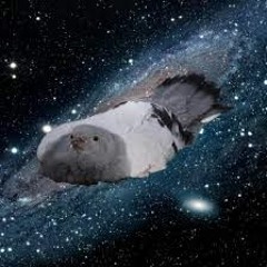 Pigeon soldier