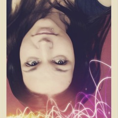 DinigoestoWonderland