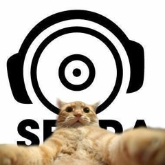 Seara Management Agency