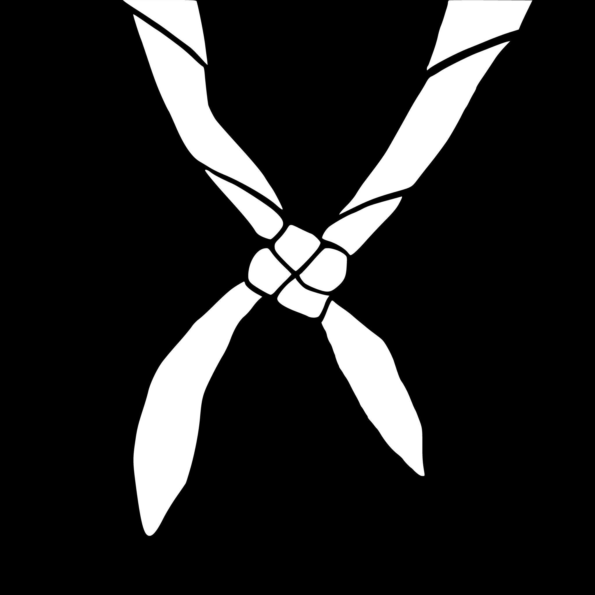 Xcout - Pfadi on air