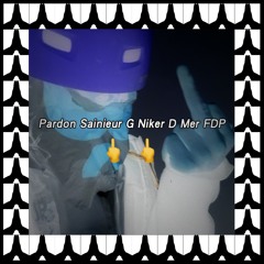 Nik Ta Mer La Shagass