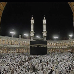 أحمد كاسب