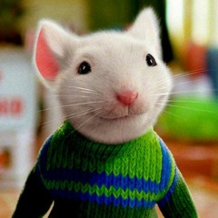 Lucas N.