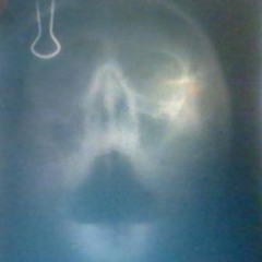 Богдан Богомерзкий