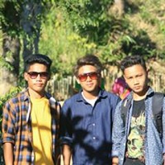 নি বি ড় পা গ লা