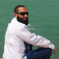 youssef elgoerany
