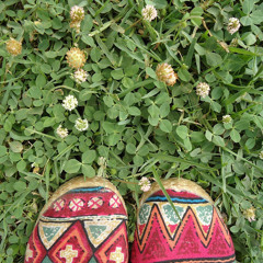 Parinaz Sarani